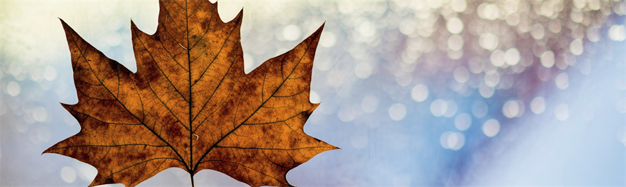 Mois de la sensibilisation à la maladie d'Alzheimer