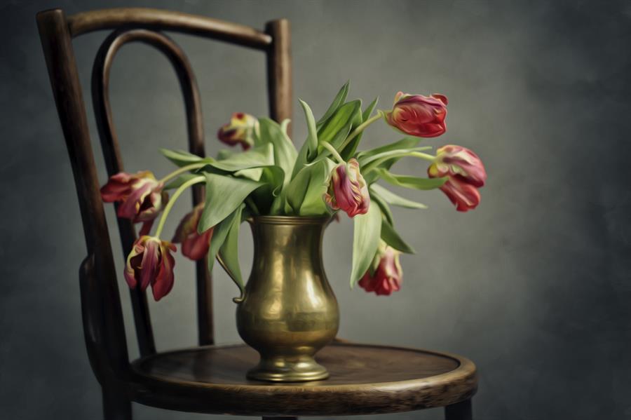 Wilted tulips in a vase