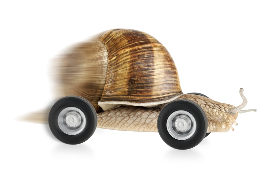 Snail going fast on wheels