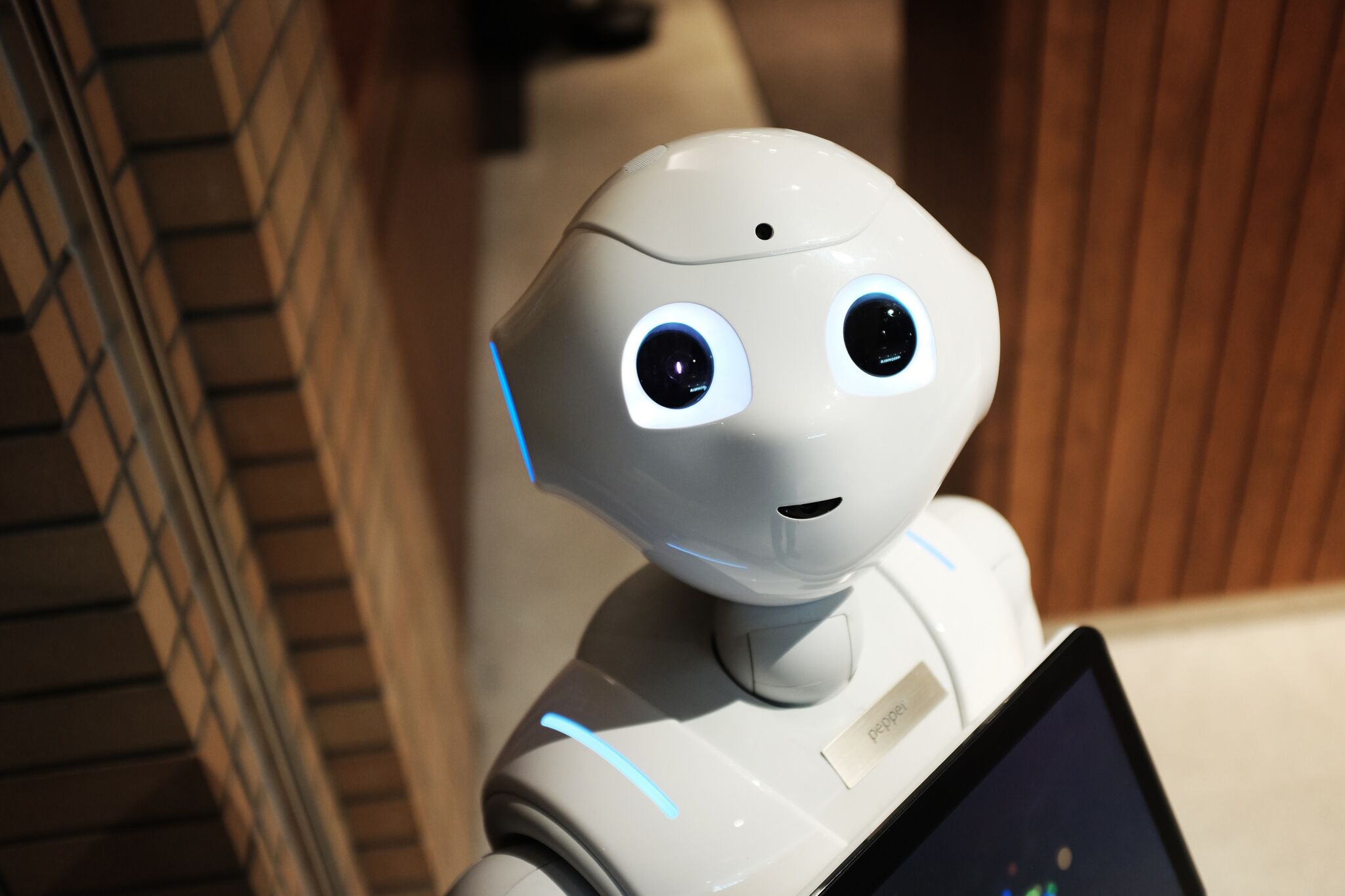 Le futur est à nos portes: les robots d'assistance sociale pour faciliter votre quotidien