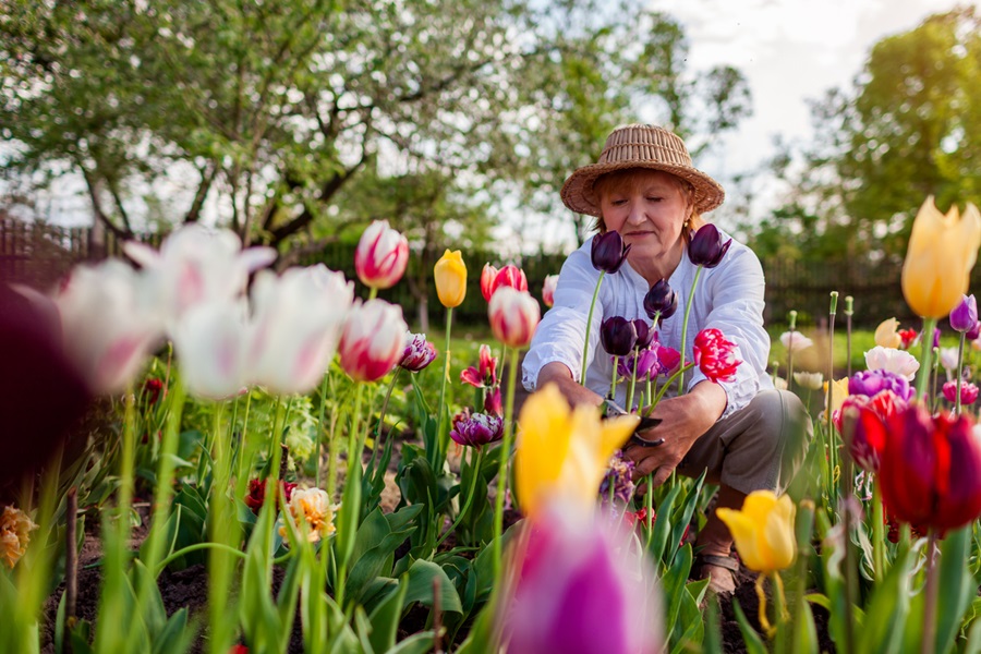 Des façons simples de profiter du printemps et de prendre soin de sa santé