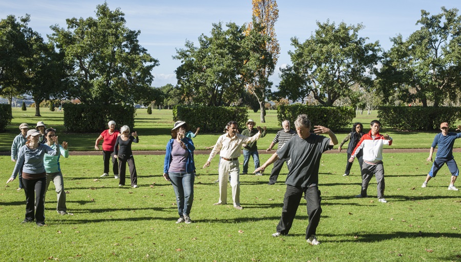 Cours de tai chi dans le parc.